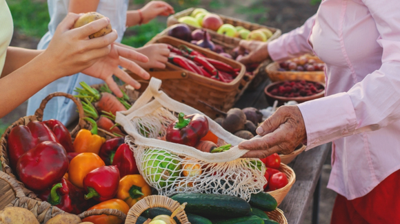 Do quintal da vovó para a mesa: 3 vegetais esquecidos que ganharam destaque novamente no TudoGostoso