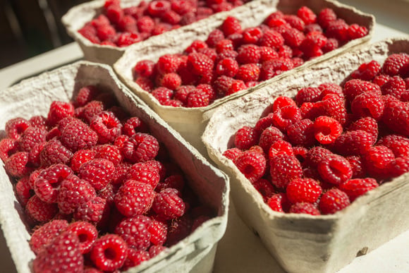 Os benefícios da framboesa: fruta vermelha só é pequena no tamanho, conheça as grandes vantagens de incluir essa delícia na alimentação