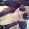kathiele ferreira