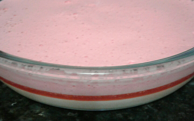 Gelatina Cor de rosa