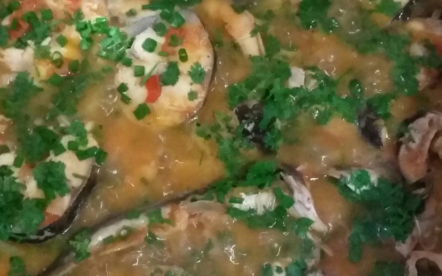 Molho de surubim ao leite de coco