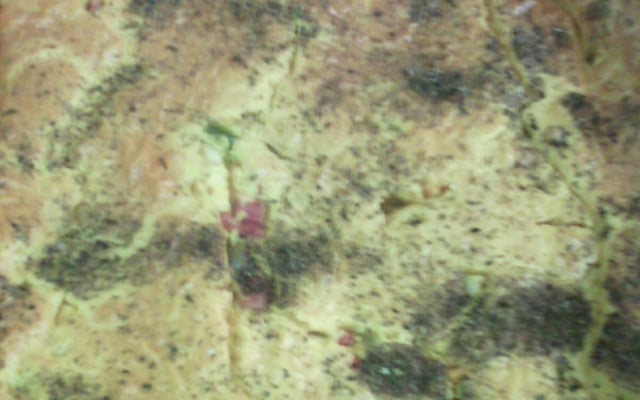 Torta de palmito com azeitonas