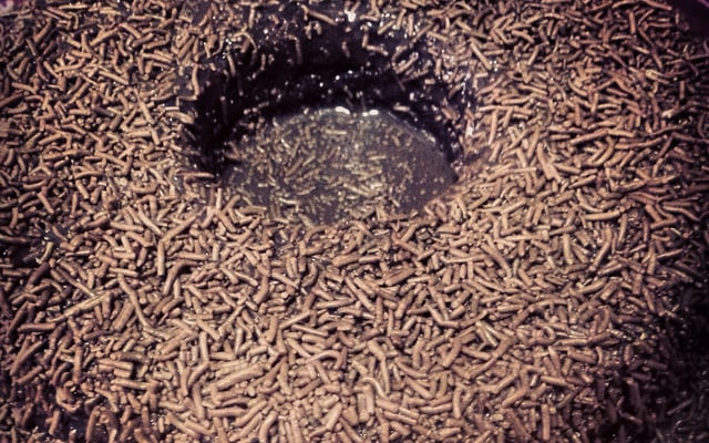 Bolo Gelado de Chocolate