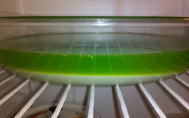 Gelatina com creme de limão - fácil e rápida