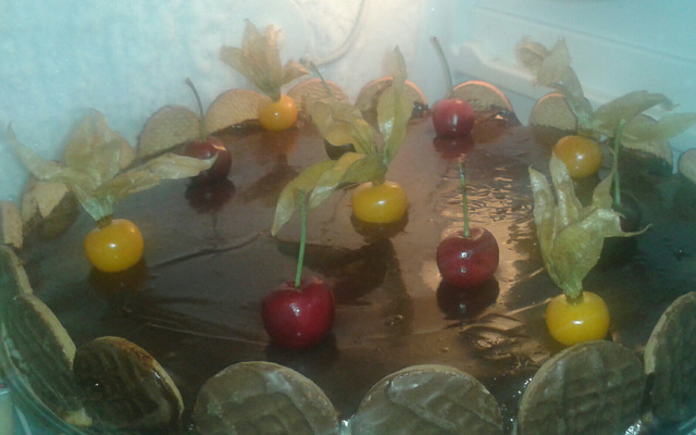 Torta holandesa sem manteiga