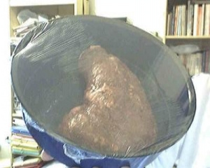 Maminha ao molho inglês