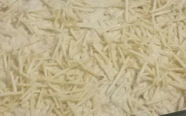 Estrogonofe de frango desfiado