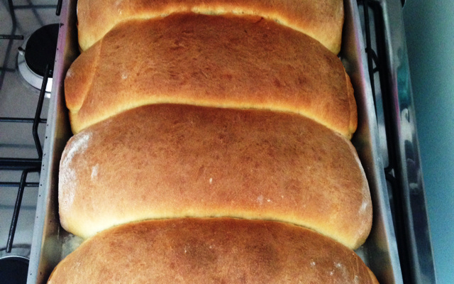 Pão de leite caseiro fácil