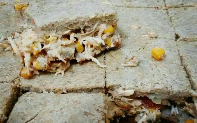 Torta integral de liquidificador