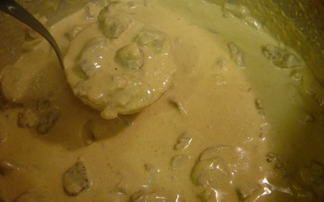 Estrogonofe de carne