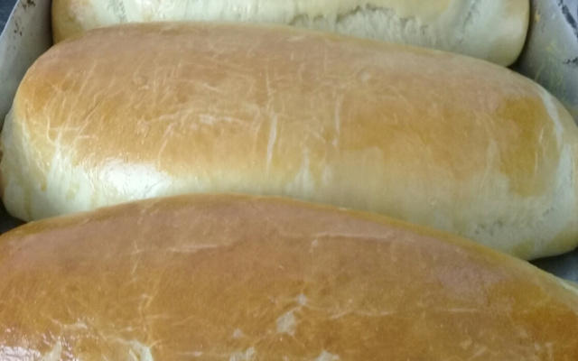 Pão simples