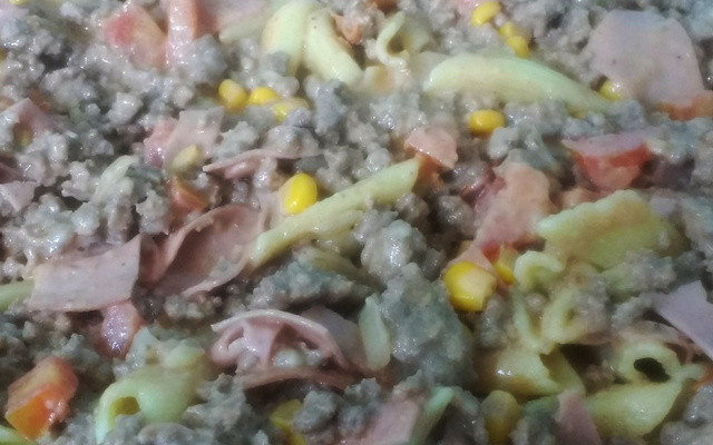 Macarrão cremoso com carne moída