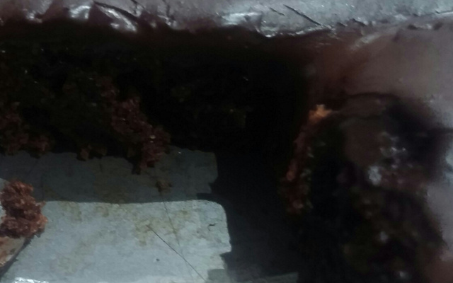 Bolo pão de mel integral