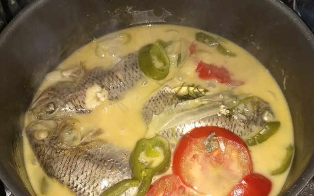 Tílapia ao leite de coco e azeite de dênde