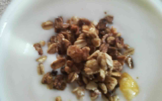 Iogurte caseiro integral