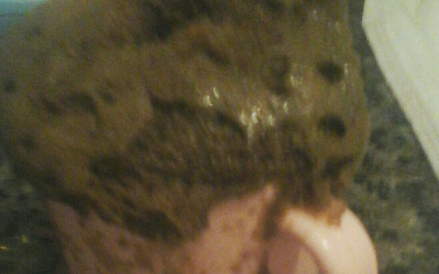 Bolo de chocolate de xícara