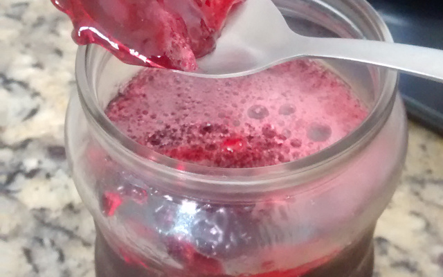 Molho de jabuticaba sem segredos