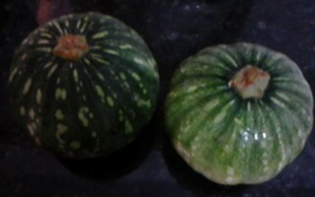 Abobrinha com camarão