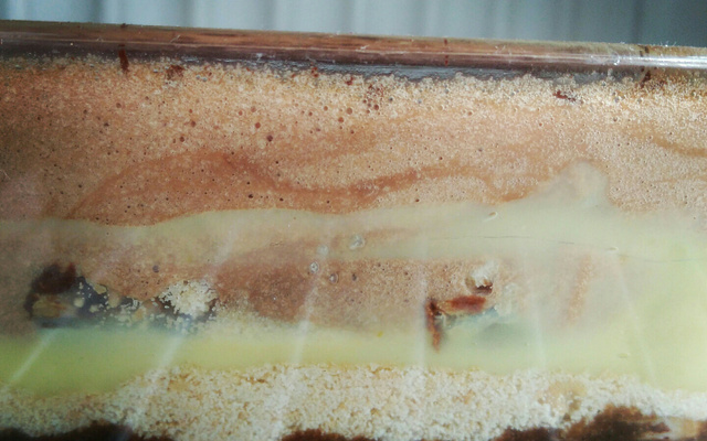 Pavê de chocolate sensacional