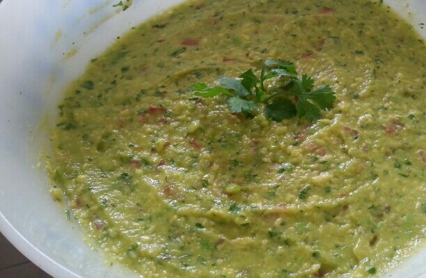 Guaca mole família loriato