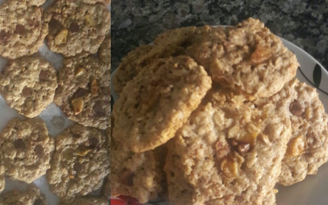 Biscoito vitaminado de aveia com chocolate ou uvas passa