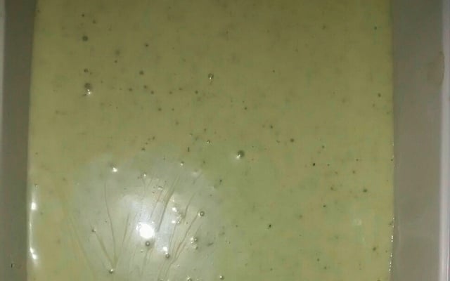 Maionese temperada de lanchonete