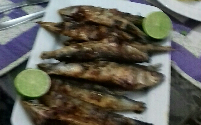 Sardinha frita