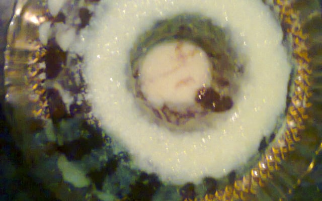 Bolo de chocolate sem fermento e farinha