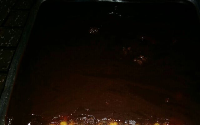 Bolo de cenoura com calda de chocolate