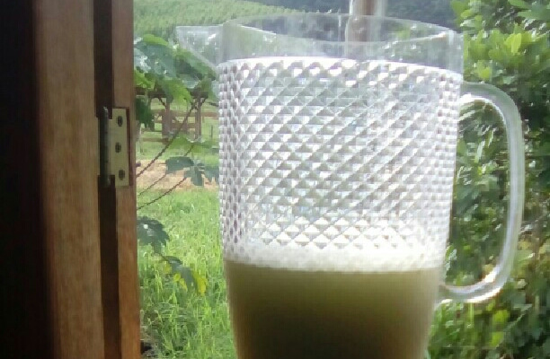 Suco de manga verde