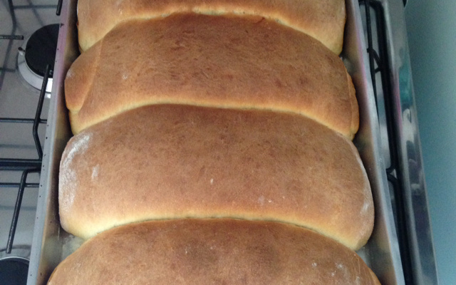 Pão de leite caseiro fácil