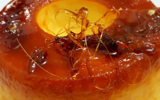 Pudim de leite condensado de fogão