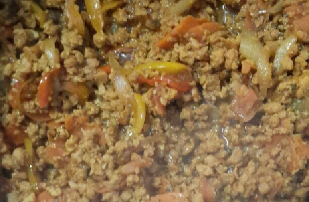 Carne de soja da Carina