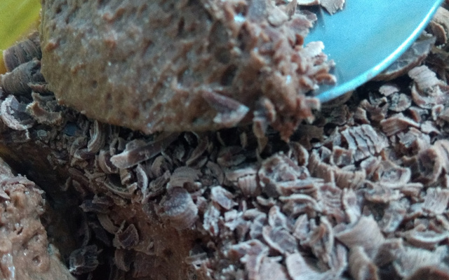 Mousse delicioso de chocolate