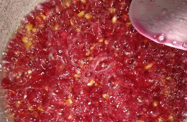 Pipoca com leite em pó colorida