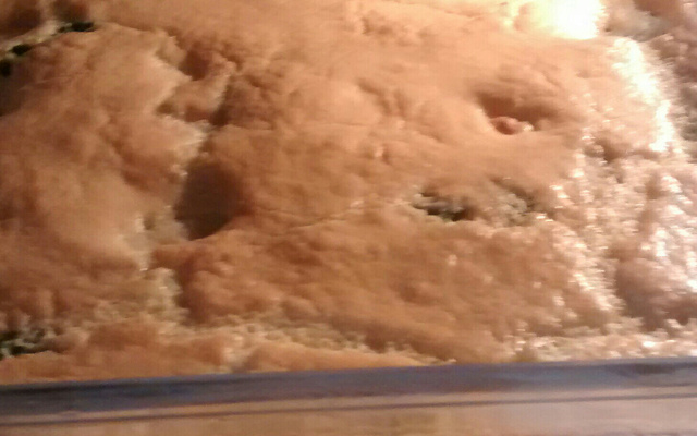 Omelete de atum ao forno