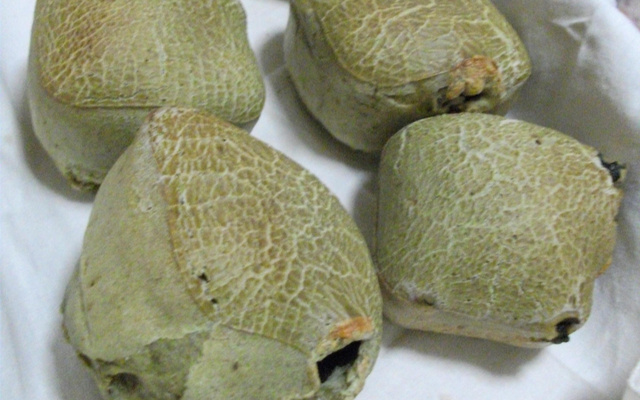 Pão de queijo enriquecido com ora-pro-nobis