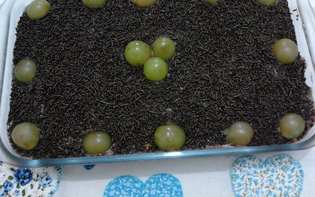 Pavê de chocolate com frutas