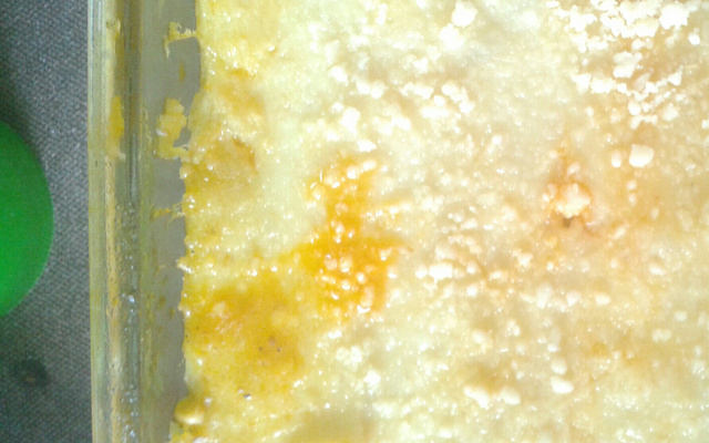 Escondidinho de Fruta-Pão com Carne Seca