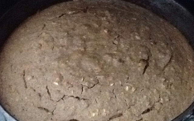 Bolo integral diet de maçã com canela