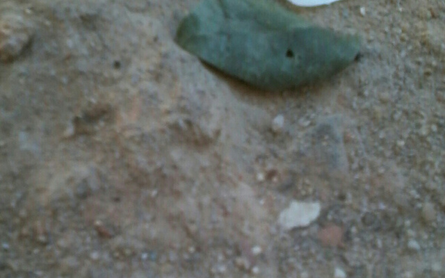 Massa para salgado de forno