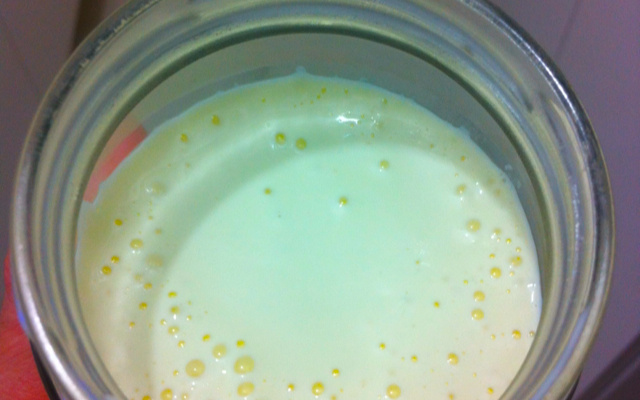 Requeijão caseiro (simples e barata)