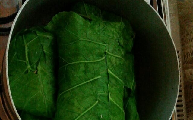 Charuto com folha de couve