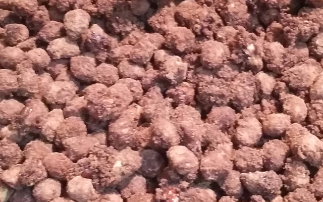 Amendoim de pipoqueiro