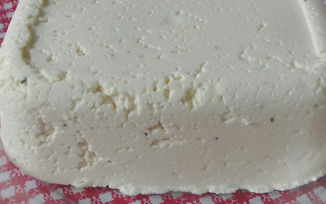 Queijo fresco caseiro facílimo