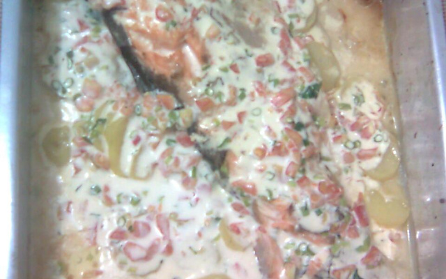 Salmão ao creme