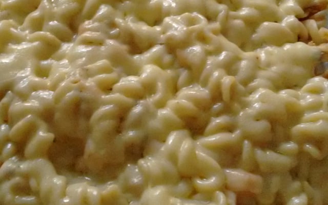Macarrão com atum ao molho branco e queijo mussarela