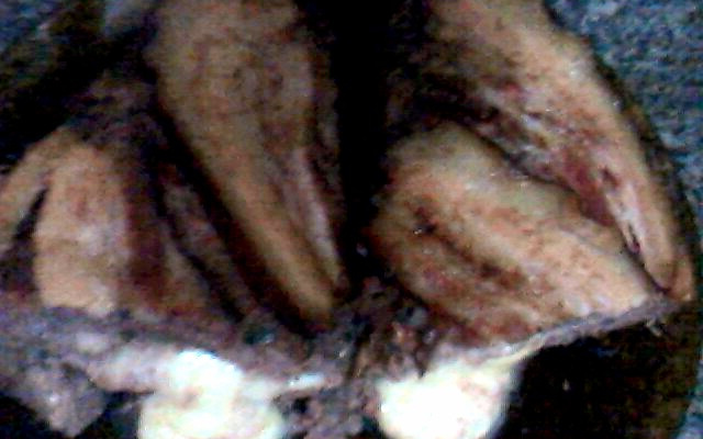 Rocambole de carne simples