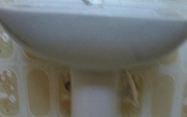 Torta salgada 2 recheios