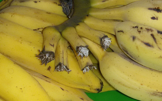 Bolo tradicional de farinha da mamãe Josi